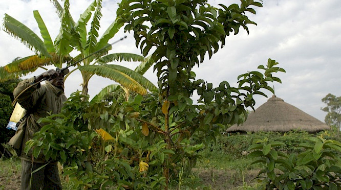 2021 ujuzi.media GmbH