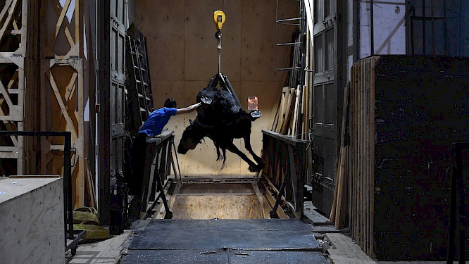 2021 Gebrueder Beetz Filmprod. | Cassette for timescapes | Chris Van der Burght