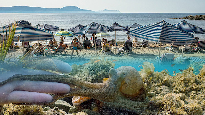 &nbsp;2022 Klaus Scheurich + Claudia+Hendrik Schmitt