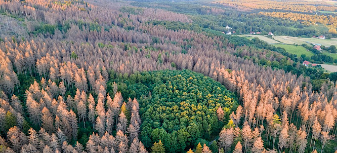 2021 TVNTV GmbH | NEW DOCS