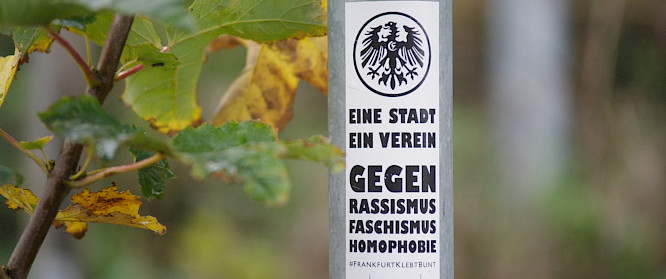 2021 BROADVIEW Pictures