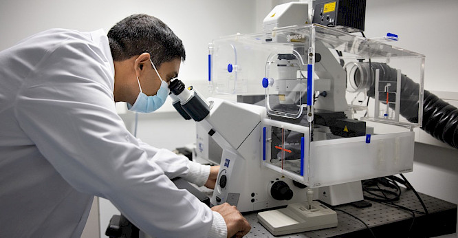 2021 Kobalt | NEW DOCS