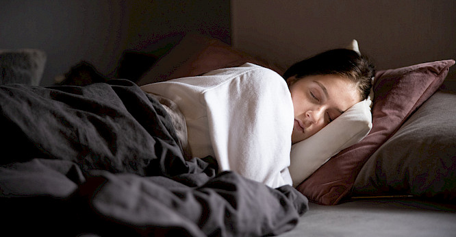 2021 Kobalt | NEW DOCS