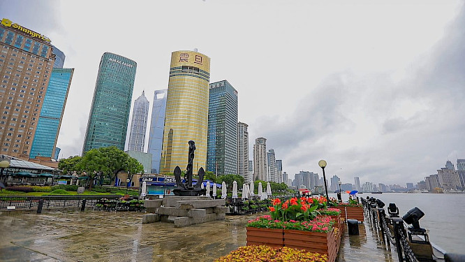 2020 TNTV | NEW DOCS