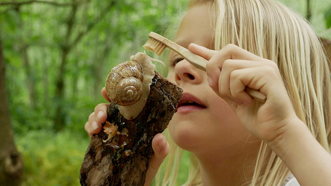 2021 Michael W&uuml;rfel