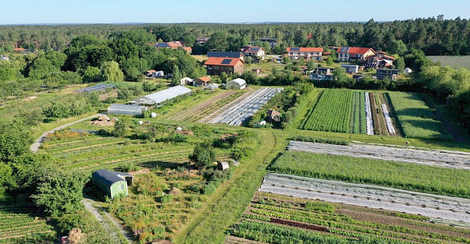 2021 Michael W&uuml;rfel