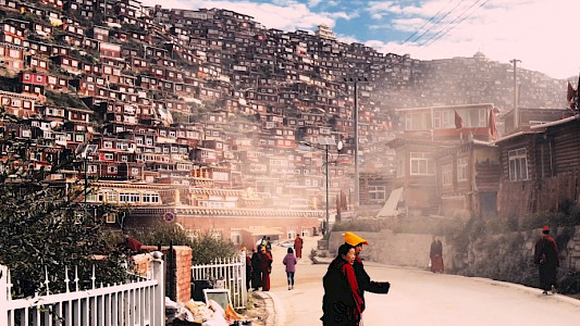 PA-JILL &ndash; HARMONY UNDER PRESSURE