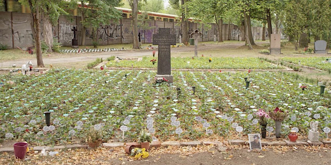 2022 panther reh GbR