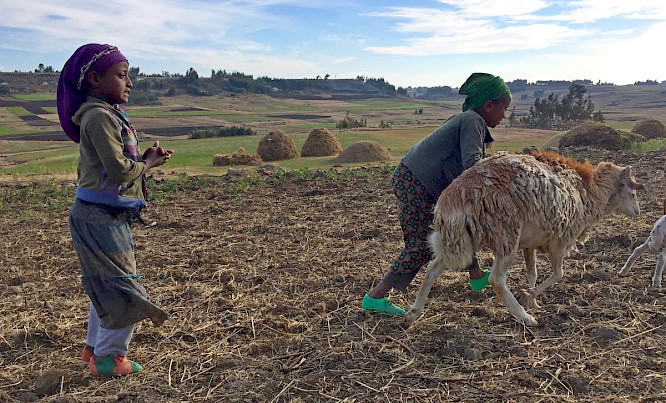 2021 berlin producers | Heidefilm | ALBATROSS 