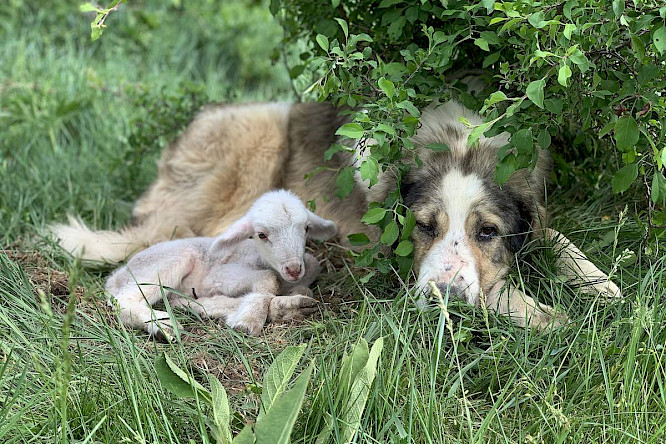 2021 berlin producers | Heidefilm | ALBATROSS 