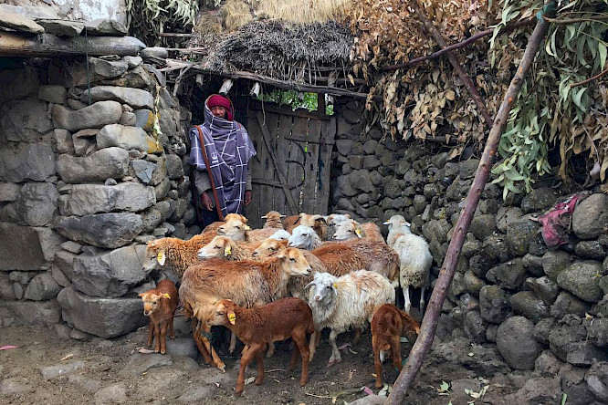 2021 berlin producers | Heidefilm | ALBATROSS 