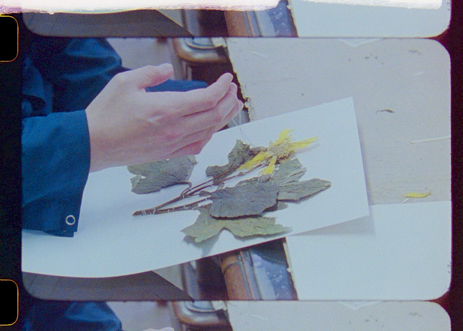 2022 Leandro&nbsp;Listorti