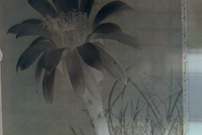 2022 Leandro&nbsp;Listorti