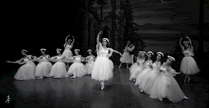 2020 Sarvnaz Alambeigi | filmquadrat