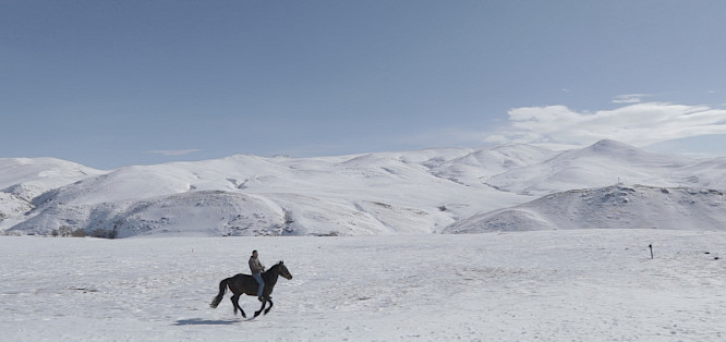 2021 Olik production | Color of May