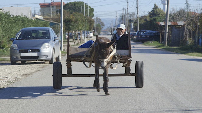 2021 HFF Munich | Teresa Renn | Luigjina Shkupa