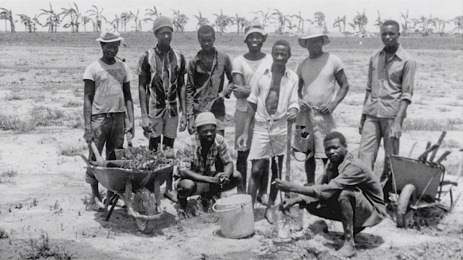 2022 Spectre Productions | WeltFilm | The Dark 