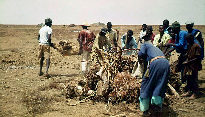 2021 Spectre Productions | WeltFilm | The Dark 