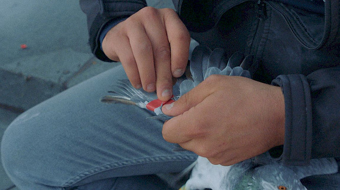 2021 MAGNETFILM | FFL 