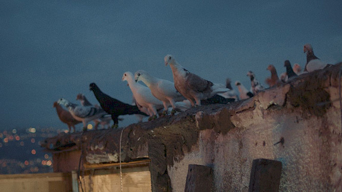 2021 MAGNETFILM | FFL