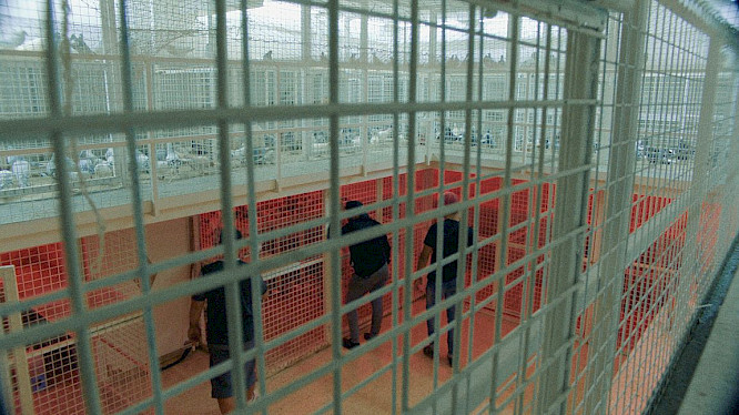 2021 MAGNETFILM | FFL 