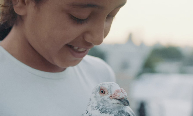 2021 MAGNETFILM | FFL 