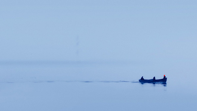 2016 Twenty Twenty Vision