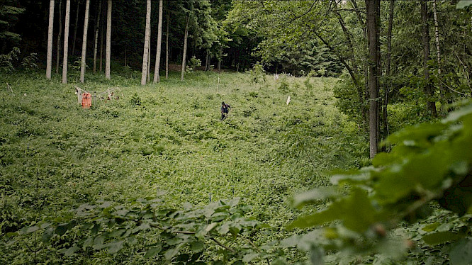 2022 HFF M&uuml;nchen