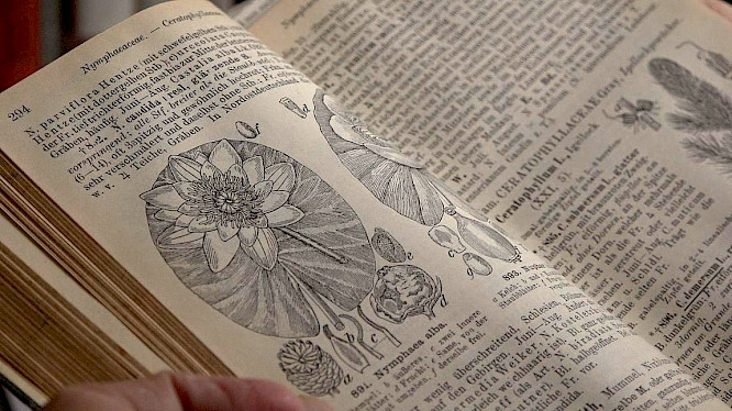 2022 if...productions | RFF &ndash; Realfiction Filmverleih