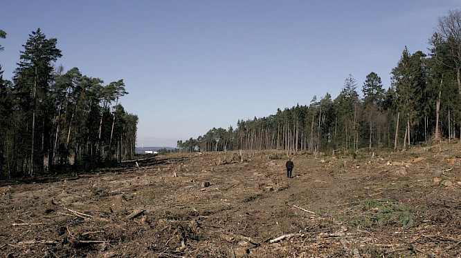 2022 Rushlake Media GmbH