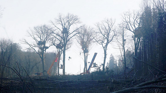 2022 Rushlake Media GmbH