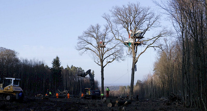 2022 Rushlake Media GmbH