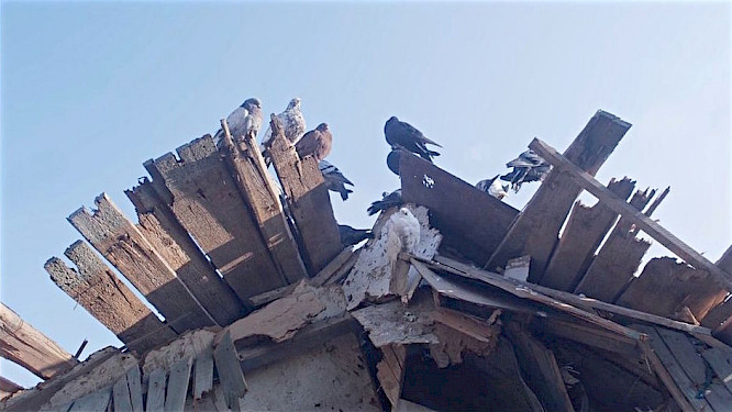 2022 TwentyTwenty Vision Filmprod. | The Match Factory