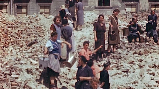 THE NATURAL HISTORY OF DESTRUCTION