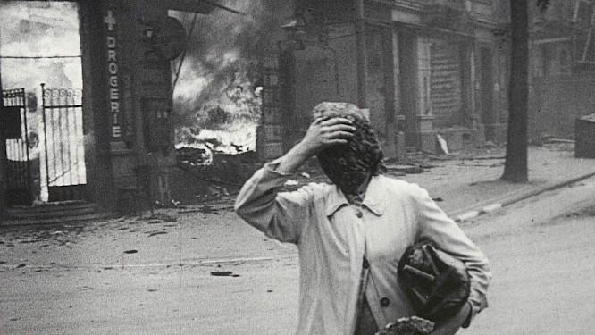 2022 PROGRESS Filmverleih