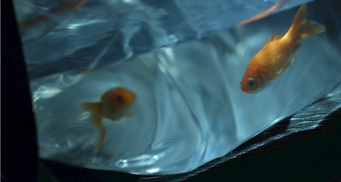 2022 Filmakademie Baden-W&uuml;rttemberg GmbH 