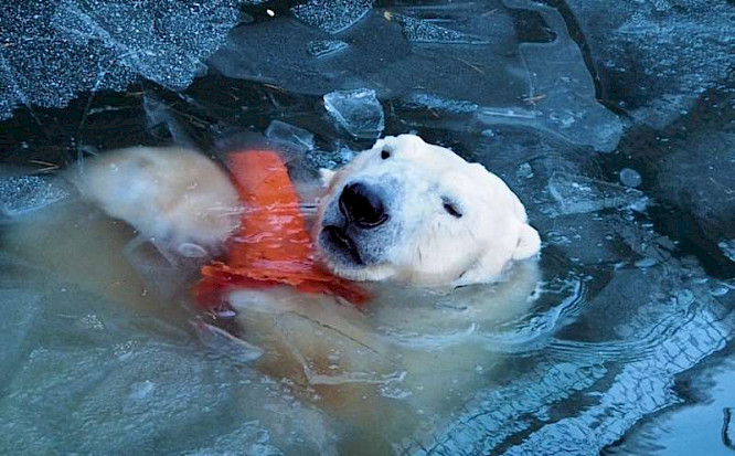 2021 farbfilm verleih GmbH