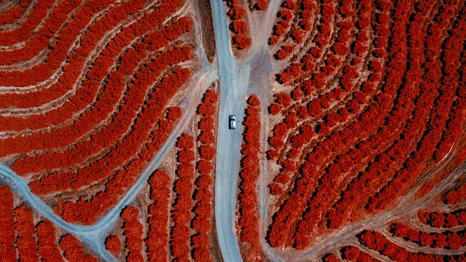 2021 farbfilm verleih GmbH