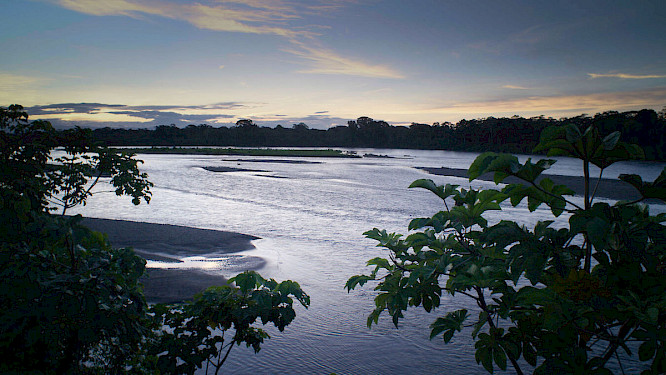 2022 Docdays | First Hand Films