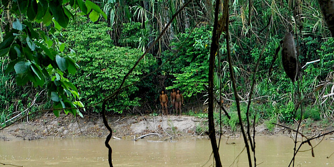 2022 Docdays | First Hand Films