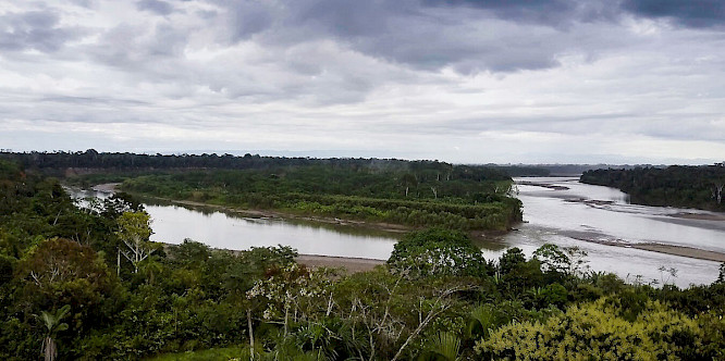 2022 Docdays | First Hand Films