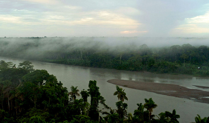 2022 Docdays | First Hand Films