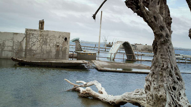 2022 Filmgalerie 451