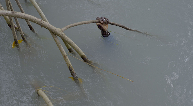 2022 Filipa C&eacute;sar, S&oacute;nia Vaz Borges 