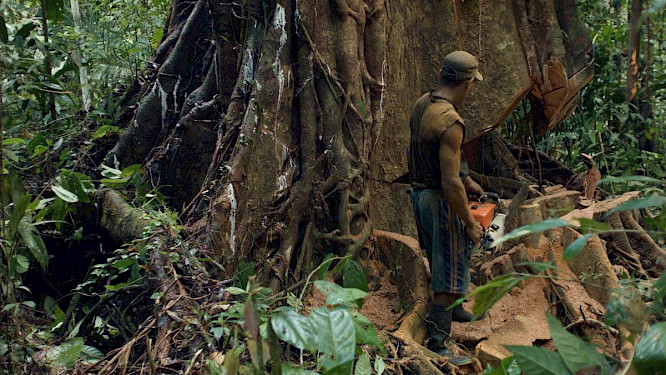 2022 Max S&auml;nger