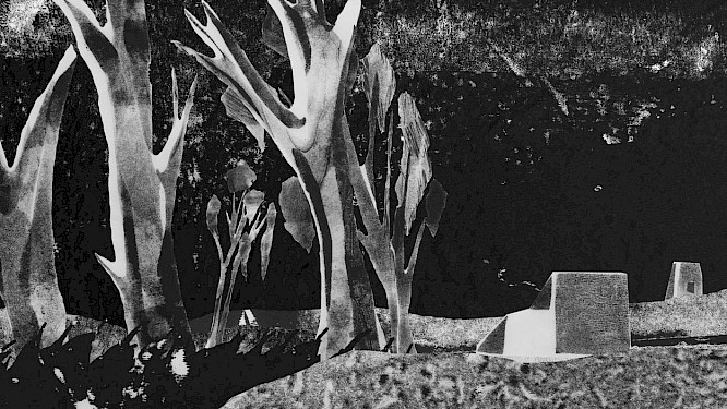 I will take your shadow