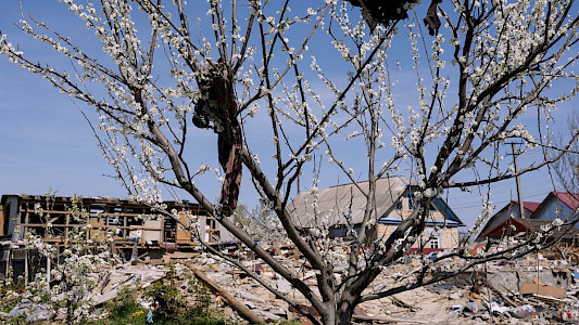 WHEN SPRING CAME TO BUCHA