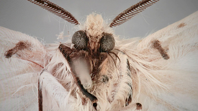 2022 S&ouml;nje Storm | J&uuml;rgen Friedrich Mahrt