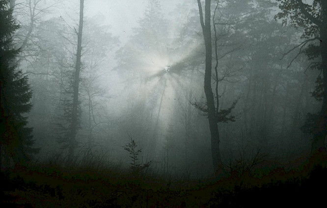 2022 S&ouml;nje Storm | J&uuml;rgen Friedrich Mahrt