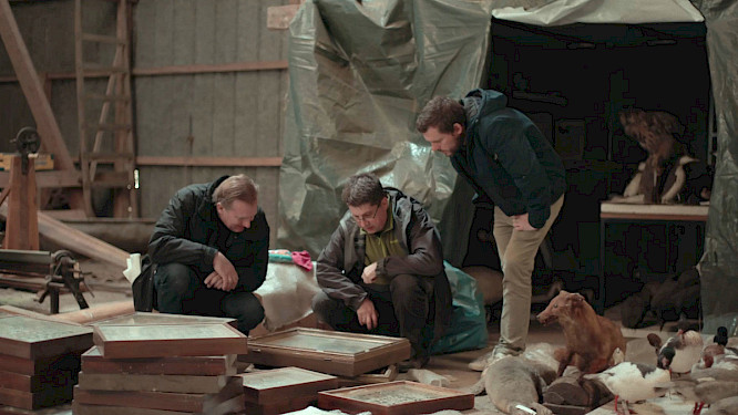 2022 S&ouml;nje Storm 